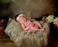 Everleigh - 8 days