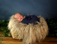 Kole - 4 weeks