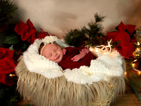 Stella - 2 weeks