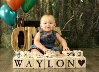 Waylon - 1st Birthday