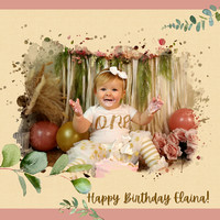Elaina - 1st Birthday