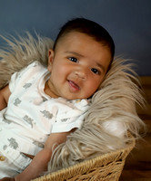 Milan - 3 months
