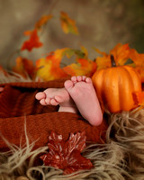 Knash - 3 weeks