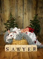Sawyer - 6 days