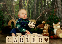 Carter - 1st Birthday