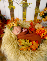Sawyer - 1 week