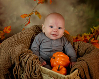 Ridger - 3 months