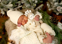 Piper - 2 weeks