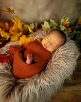 Augustus - 2 weeks