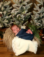 Benjamin - 3 weeks