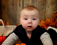 Zane - 6 months