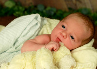 Zander - 3 weeks
